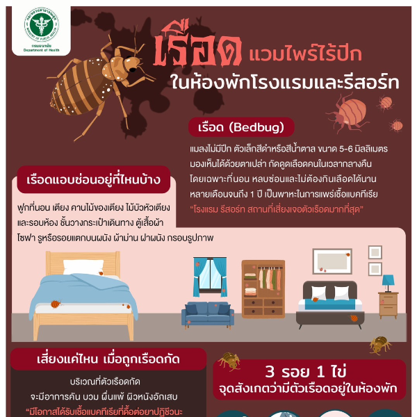 ตัวเรือด แมลงรบกวนในโรงแรม